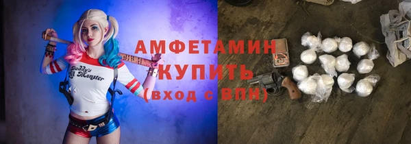 прущие грибы Баксан