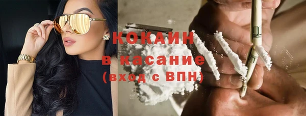 стаф Аркадак