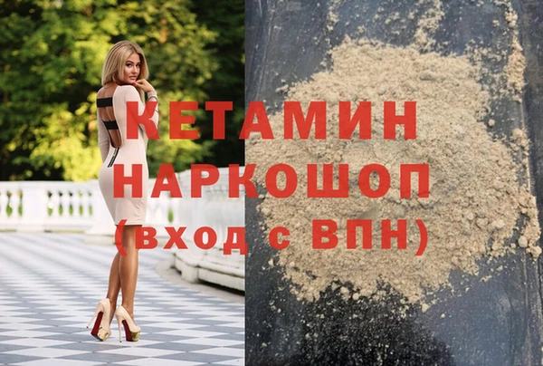 стаф Аркадак