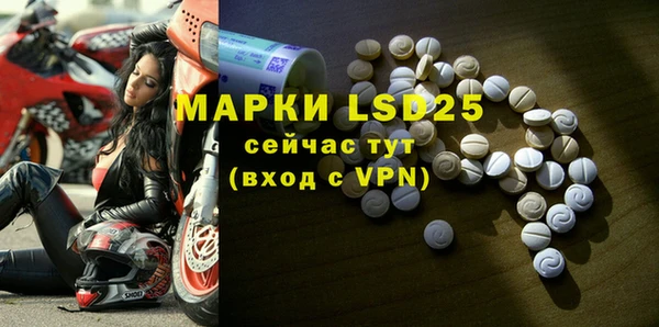 стаф Аркадак