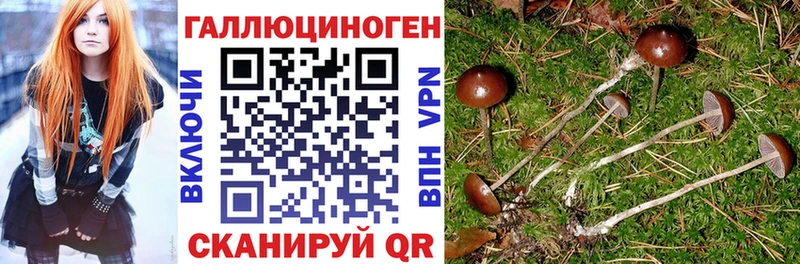 Псилоцибиновые грибы мухоморы  цены наркотик  Пестово 