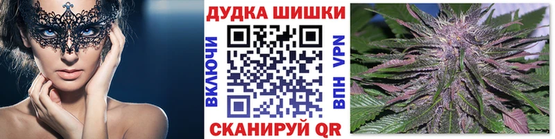 где купить наркотик  Пестово  МАРИХУАНА гибрид 